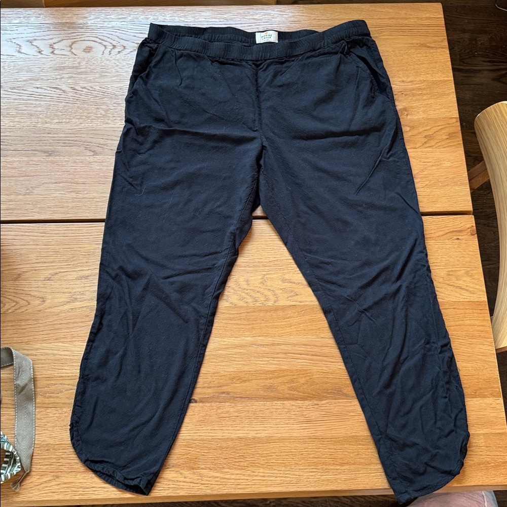 Marine Layer Charcoal Pants
